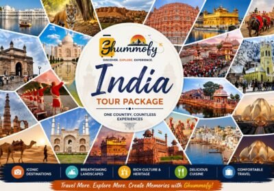 10 Questions to Ask Before Booking an India Tour Package