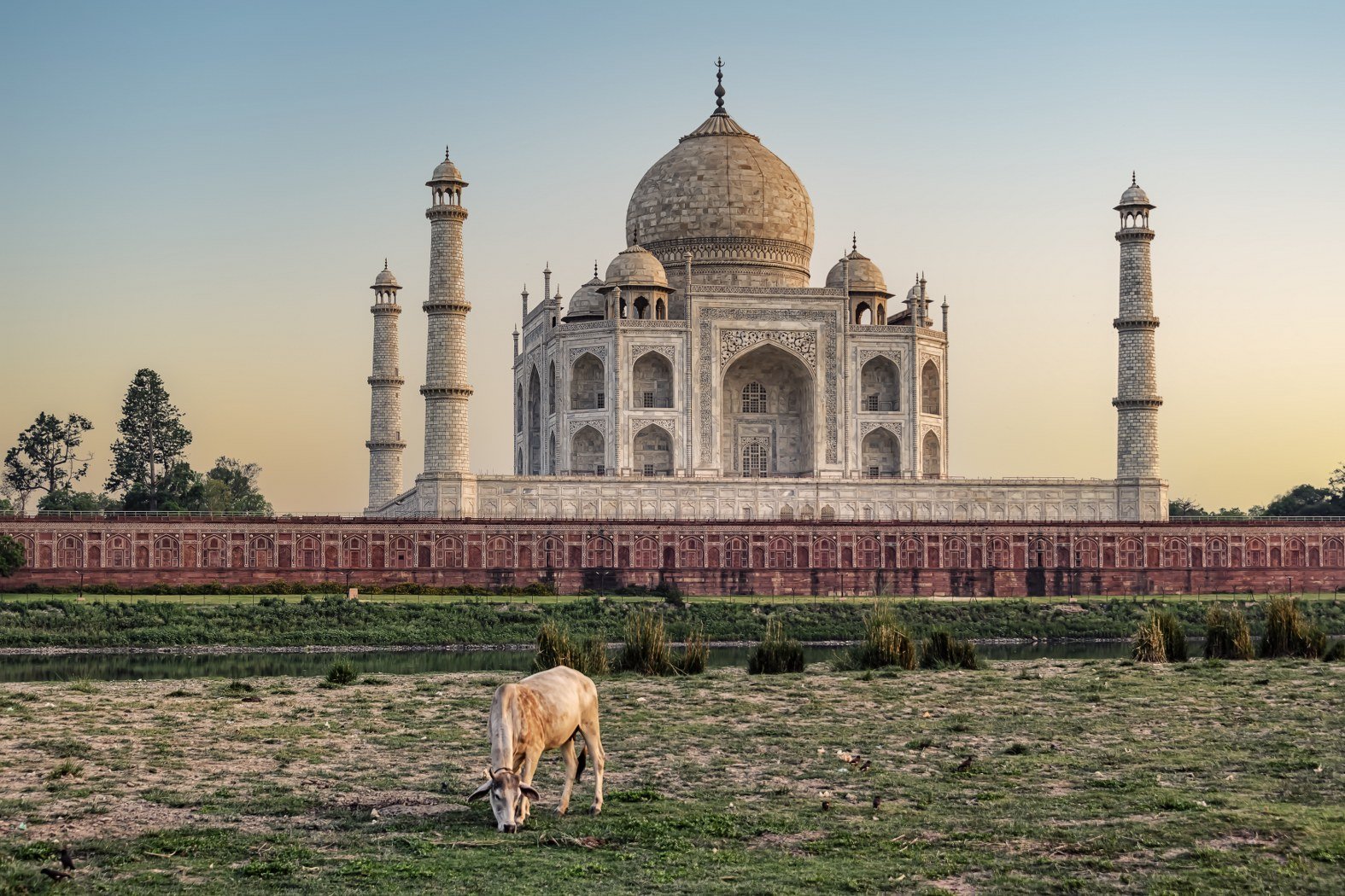 Golden Triangle Tour Package