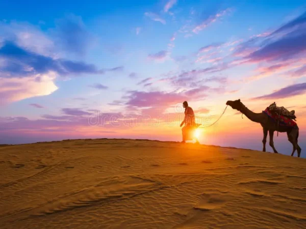 Charming Jaisalmer Tour Package 1 Night / 2 Days